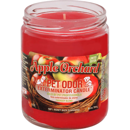 Smoke Odor Candles - Fall Limited Edition
