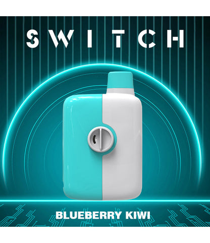 Mr Fog Switch - Blueberry Kiwi