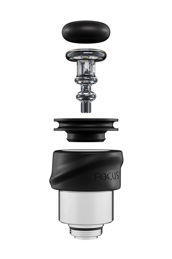 Focus V - CARTA SPORT Kit