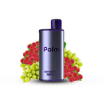 Pop Palm - Grape Raspberry